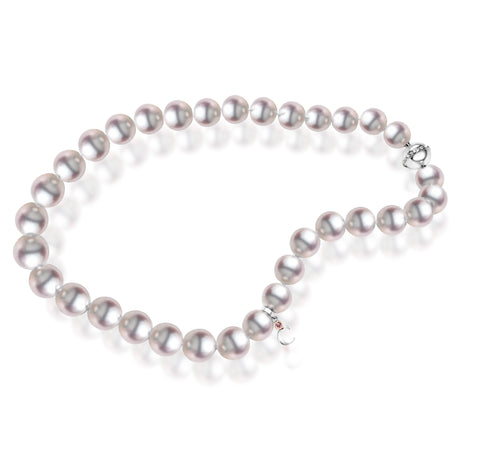 South Sea Pearl Necklace Strand
